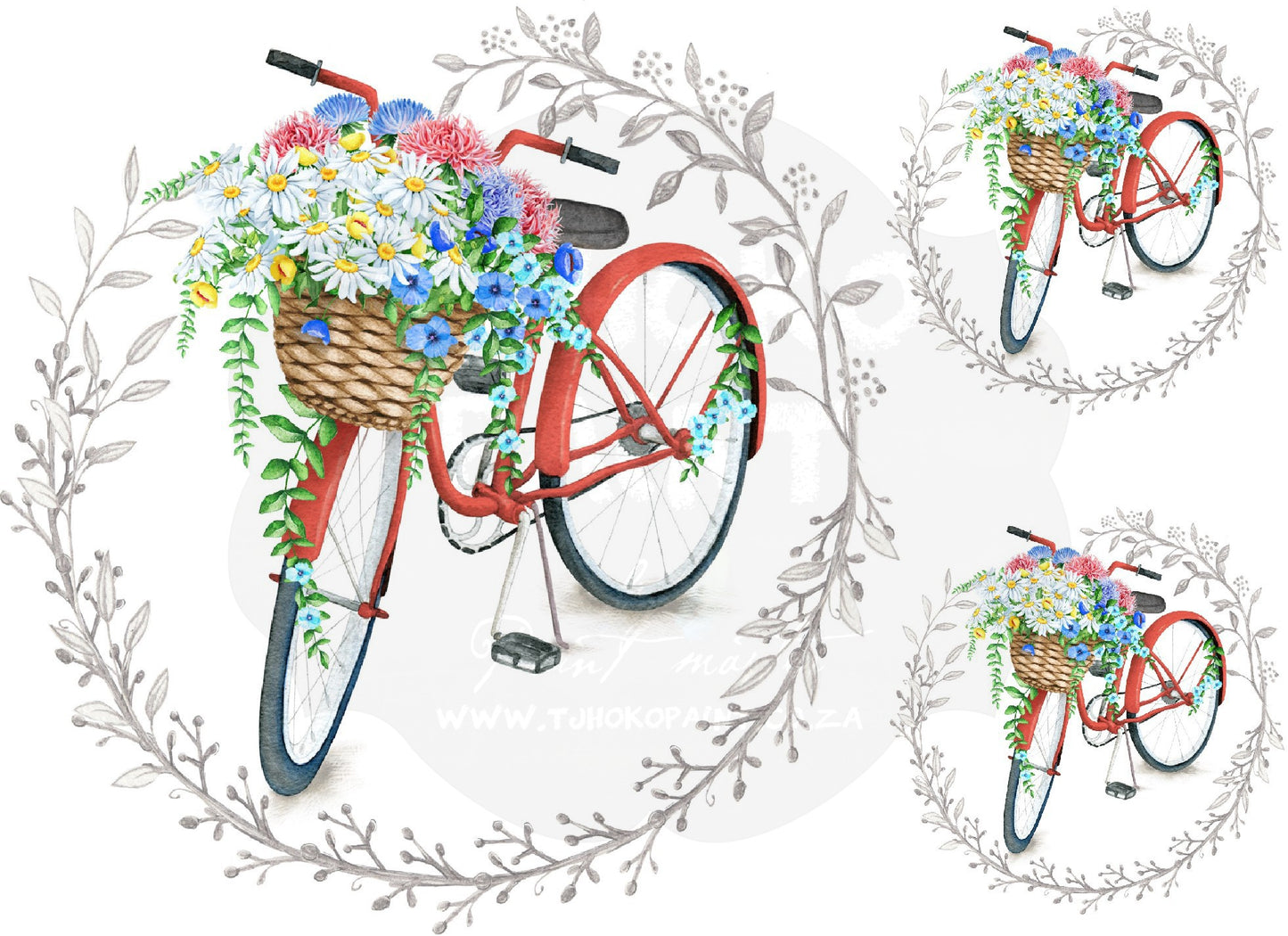 Vintage Red Bike with daisies