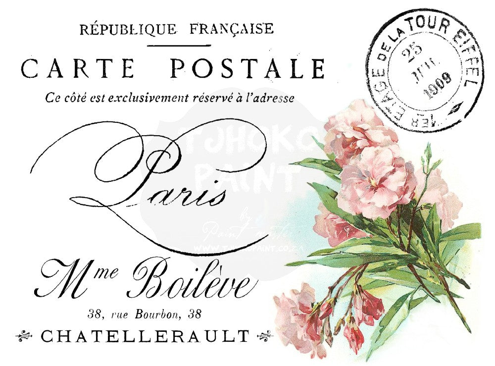 Paris Postcard – Pink Blossoms Water Transfer