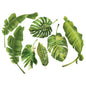 Tropical leaves - wall vinyl set