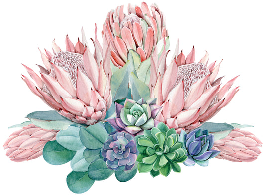 Protea vinyl