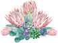Protea vinyl