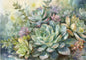 Watercolor garden that captures the subtle beauty of succulents in muted greens and purples