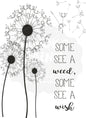 Dandelion wishes