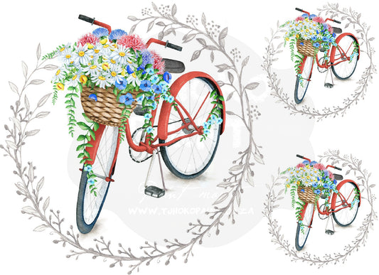 Vintage Red Bike with daisies