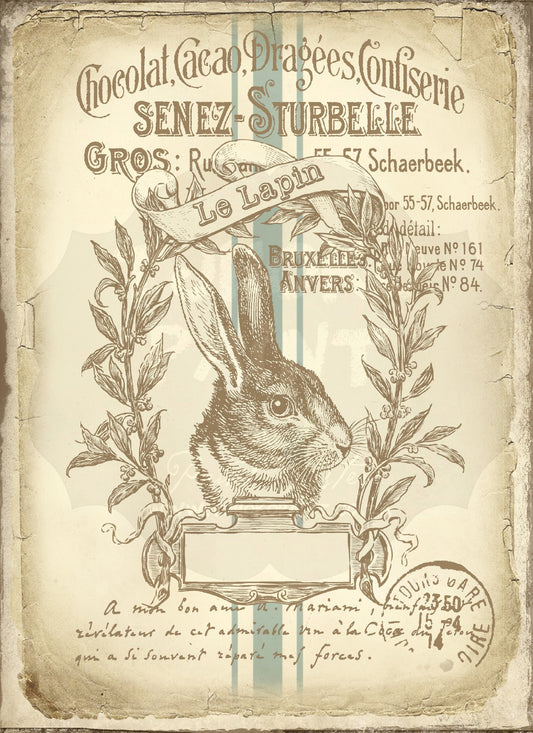 Le Lapin Water Transfer