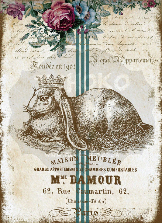 Royal Rabbit Water Transfer