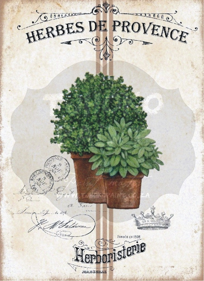 Herbes de Provence Water Transfer