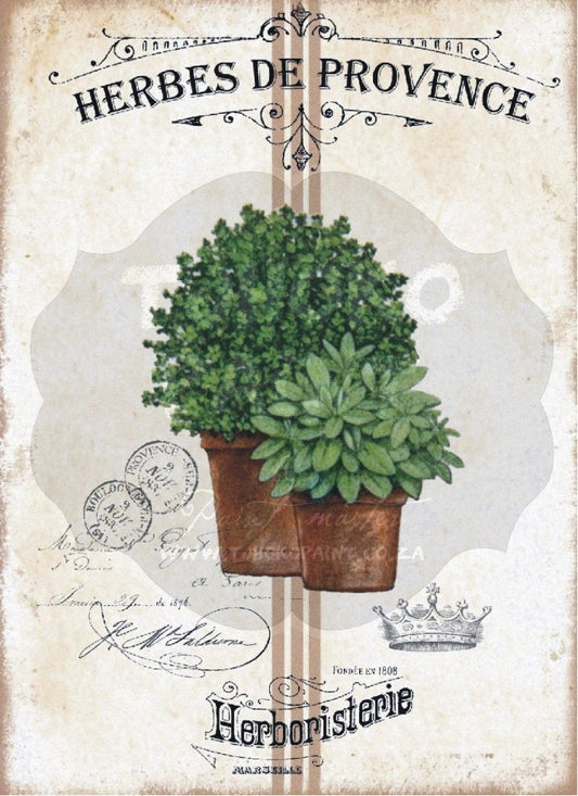 Herbes de Provence Water Transfer