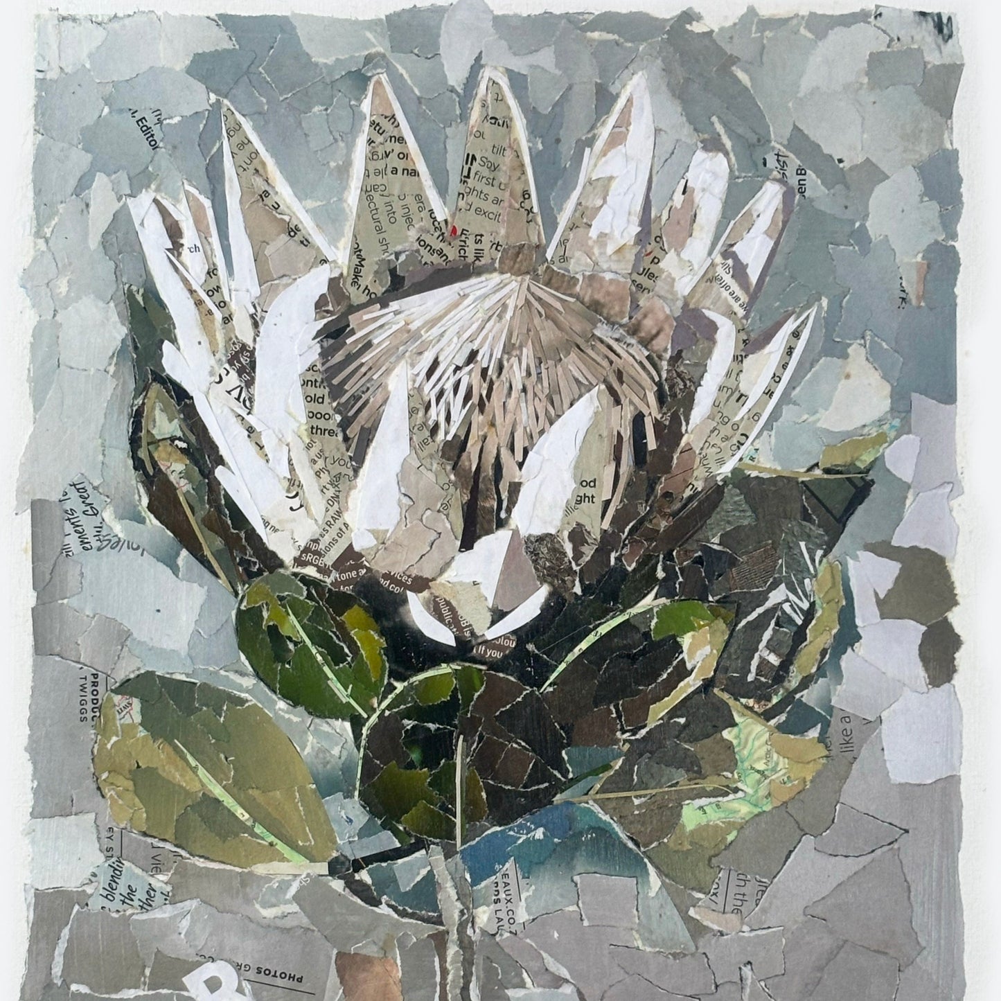 King Wild Protea by Sharon Welman